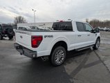 New 2025 Ford F150 XLT w/ Equipment Group 302A MID image 4