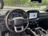 Used 2023 Ford F150 XLT w/ Equipment Group 302A High image 4