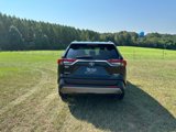 Used 2021 Toyota RAV4 Limited image 6