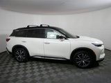 New 2025 INFINITI QX60 Autograph w/ Cargo Package image 2