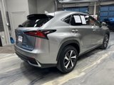 Used 2020 Lexus NX 300h AWD w/ Premium Package image 5