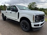 New 2025 Ford F250 XL image 3