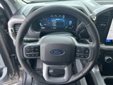 New 2025 Ford F150 XLT w/ Equipment Group 301A Standard image 2
