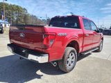 New 2025 Ford F150 XLT image 5