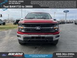 New 2025 Ford F150 XLT w/ Equipment Group 302A MID image 2