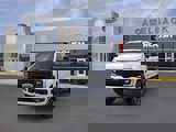 New 2025 Ford F250 Platinum w/ Tremor Off-Road Package image 2