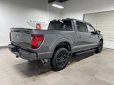 New 2025 Ford F150 XLT w/ Equipment Group 302A MID image 6
