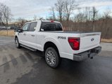 New 2025 Ford F150 XLT w/ Equipment Group 302A MID image 3