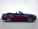 New 2025 Ford Mustang GT Premium image 2