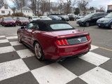 Used 2019 Ford Mustang Premium w/ Equipment Group 201A image 5