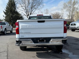 Used 2024 Chevrolet Silverado 1500 W/T w/ WT Fleet Convenience Package image 6