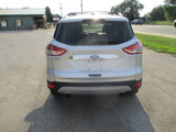 Used 2014 Ford Escape Titanium image 4