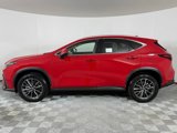 New 2025 Lexus NX 300h AWD w/ Luxury Package image 3
