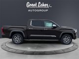New 2025 Toyota Tundra 1794 Edition image 6