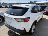 Used 2020 Ford Escape SE image 4