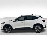 New 2025 Ford Escape ST-Line Select w/ Tech Pack #2 image 4