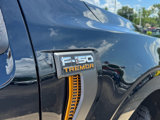 New 2025 Ford F150 Tremor w/ Equipment Group 402A High image 5