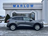 New 2025 Ford Escape Active w/ Tech Pack #1 image 3