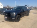 New 2025 Ford F150 Platinum w/ Equipment Group 702A High image 2