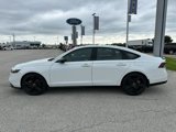 Used 2023 Honda Accord Sport image 2
