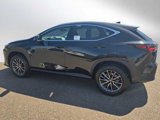 New 2026 Lexus NX 350 AWD image 6