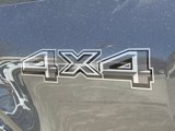 New 2025 Ford F150 STX w/ Equipment Group 200A image 6