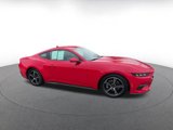 Used 2024 Ford Mustang Premium image 2