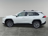 New 2025 Toyota RAV4 XLE Premium image 4