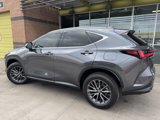 Used 2024 Lexus NX 350 AWD image 5