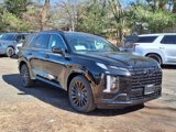 New 2025 Hyundai Palisade Calligraphy image 3
