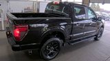 Used 2025 Ford F150 STX w/ STX Black Appearance Package image 3