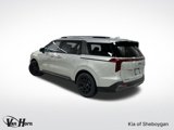 New 2025 Kia Carnival SX Prestige image 4