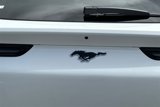 New 2025 Ford Mustang Mach-E Premium w/ Interior Protection Package image 6