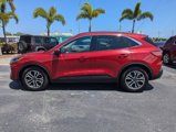 Used 2020 Ford Escape SEL image 4