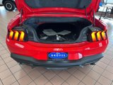 New 2025 Ford Mustang GT Premium w/ 60th Anniversary Package image 6