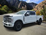 Used 2024 Ford F350 Platinum image 5