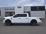 New 2025 Ford F150 STX image 4
