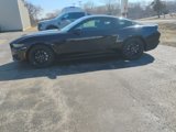 New 2025 Ford Mustang GT Premium image 2
