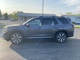 New 2025 Honda Pilot Elite image 4