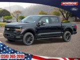 New 2025 Ford F150 XLT image 1