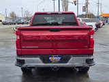 Used 2019 Chevrolet Silverado 1500 LT w/ All-Star Edition image 6