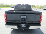 Used 2023 Ford F150 XLT w/ Equipment Group 302A High image 6