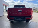 New 2025 Toyota Tacoma Limited image 5