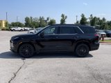 New 2025 Hyundai Palisade Calligraphy image 4