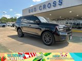 New 2025 Ford Expedition Platinum image 1