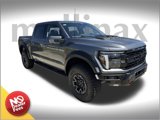 New 2025 Ford F150 Raptor image 1