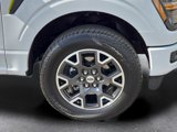 Used 2024 Ford F150 STX image 4