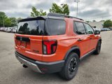 New 2026 Honda Passport TrailSport Elite image 4