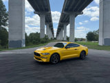Used 2021 Ford Mustang GT w/ Equipment Group 301A image 2