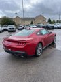 New 2024 Ford Mustang GT Premium image 2